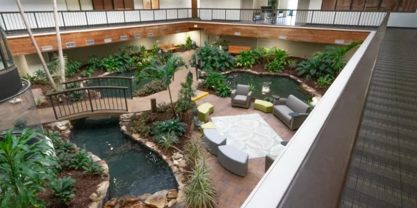 Southcoast Psychiatric Services