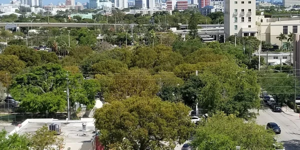 Jackson Memorial Hospital - Behavioral Health Hospital