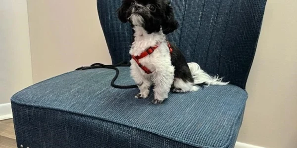 Advantage Mental Health Center