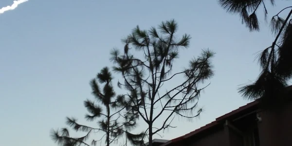 Aspire Health Partners